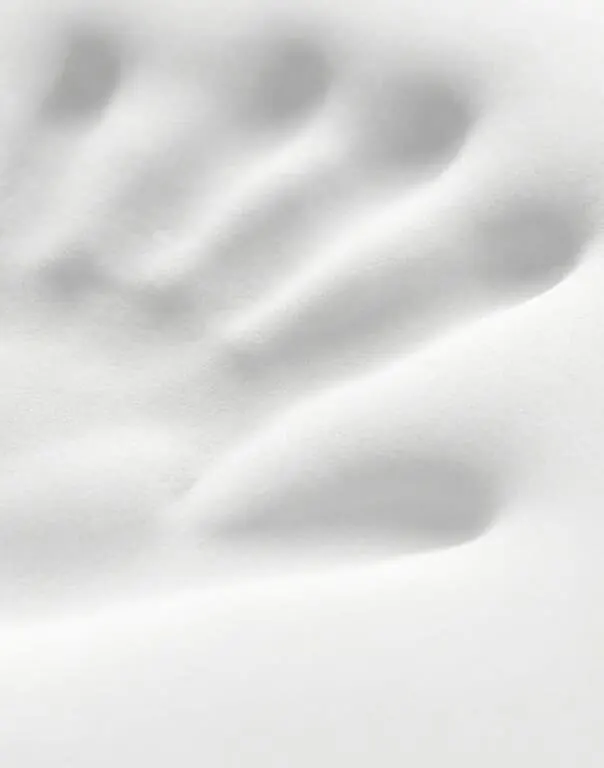 Shoulder arch release zone of the Melara Max pillow